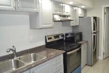 Beautiful 2 Bedroom Nice Basement For RENT - Photo 2