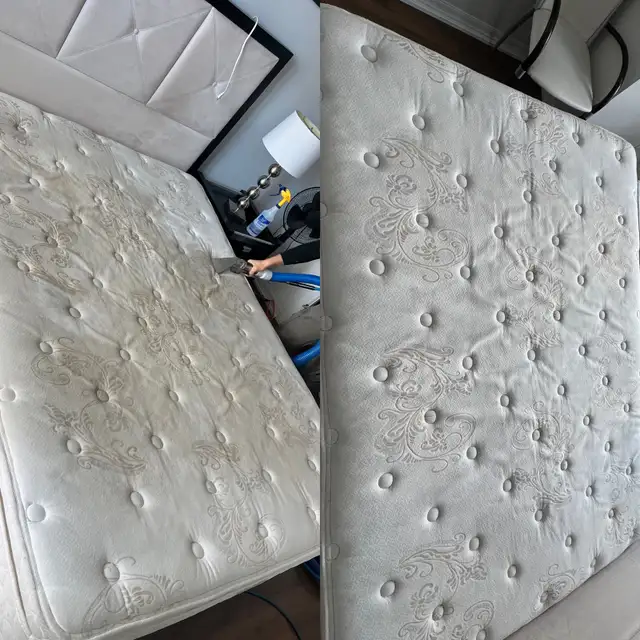 carpet, sofa, rugs and mattresses cleaning - Photo 10