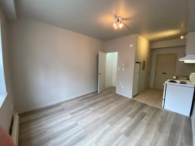 Studio Bachelor Apartment in Durand Neighbourhood - Photo 2