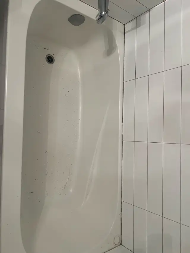 Caulking Shower Bathtub Sink $100