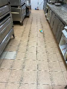 Kitchen Floor Tile and Grout Cleaned $150