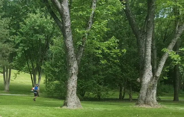 Lawn Maintenance Position - Photo 2