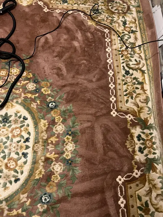 Shampoo Steam Area Rugs Runners $40 - Photo 3