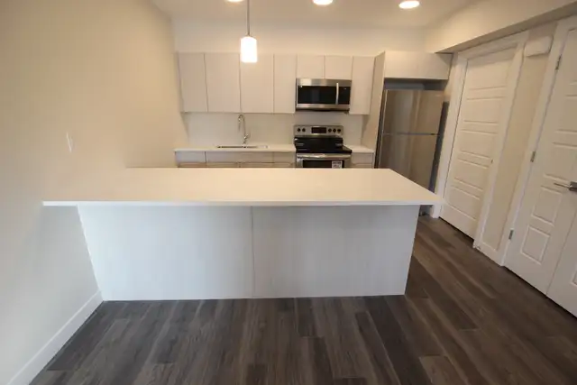 2 bedroom , 2 bathroom in the heart of St.Boniface - Photo 5