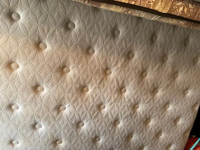 Shampoo Steam Mattress Twin Queen King $50