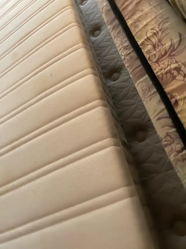 Shampoo Steam Mattress Twin Queen King $50 - Photo 2