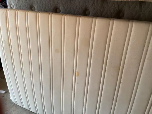 Shampoo Steam Mattress Twin Queen King $50 - Photo 3