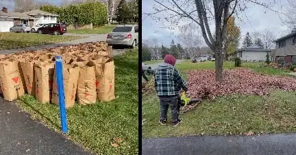 Landscaping & property care solutions - Photo 6