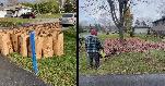 Landscaping & property care solutions - Photo 6