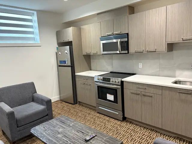 Fully Furnished basement  for rent - Photo 4