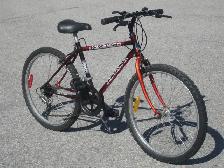 MID SIZE 24' TRIUMPH RAVINE 15 SPEED TRAIL/MOUNTAIN BIKE!