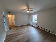 1 Bedroom 1 Bath Apartment - Photo 5