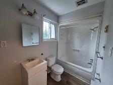1 Bedroom 1 Bath Apartment - Photo 10