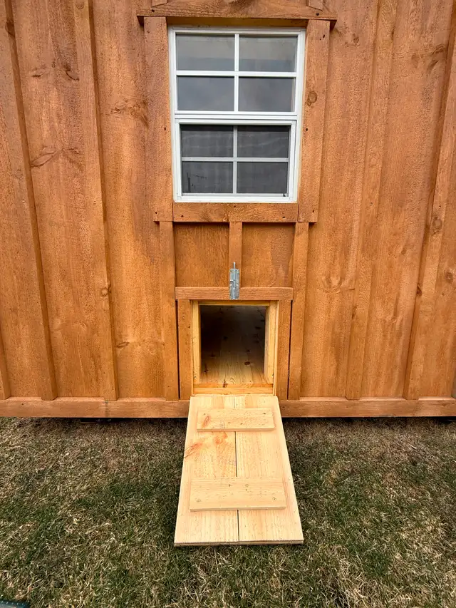Chicken Coops- Sheds Solid Pine - Photo 2