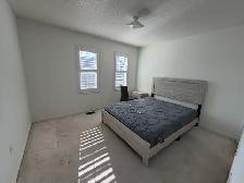 3-Bedroom House For Rent: Markham Rd & Denison St - Photo 7