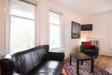 Large Bright Furnished Studio in the Heart of Sandy Hill