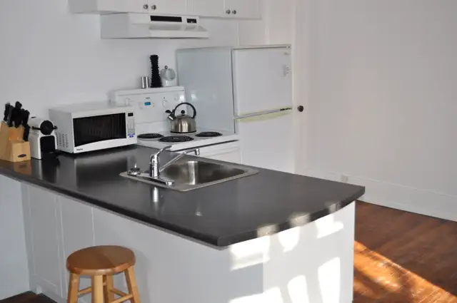 Large Bright Furnished Studio in the Heart of Sandy Hill - Photo 3