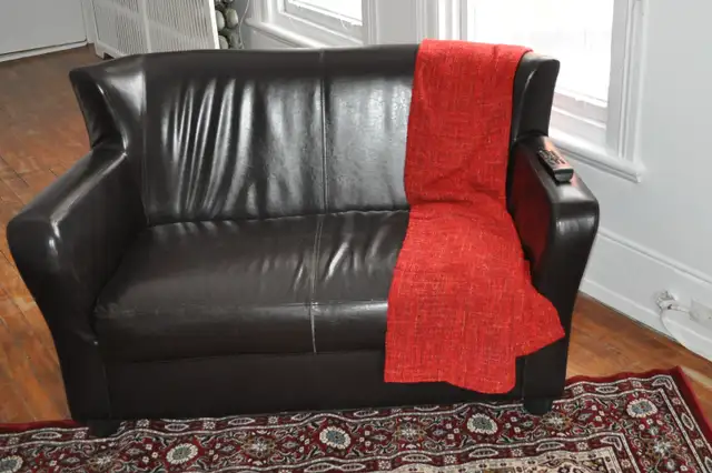 Large Bright Furnished Studio in the Heart of Sandy Hill - Photo 5