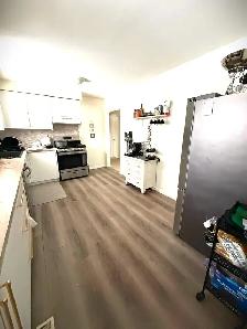 Beautiful 3Bed 1 Bath- Main Floor- Detached house- Richmond Hill - Photo 8