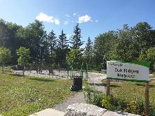 Beautiful 3Bed 1 Bath- Main Floor- Detached house- Richmond Hill - Photo 11