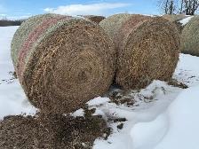 Grass Hay Bales sold UNRESERVED ONLINE Closing April 30
