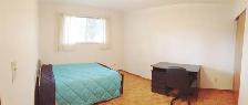 Furnished Room for Rent Near U of M - Photo 4