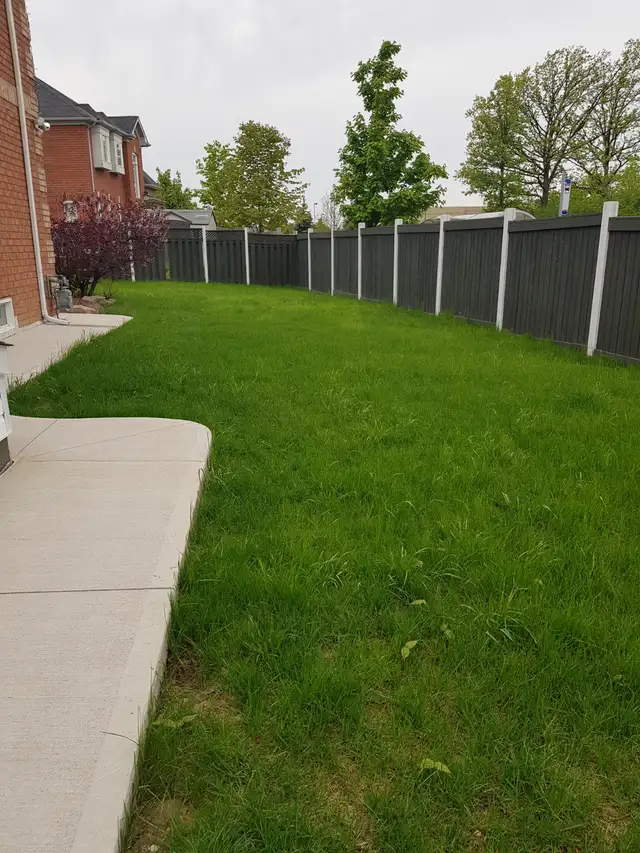 4 Bedrooms House for rent  - FOR FAMILY – NORTH BRAMPTON - Photo 10