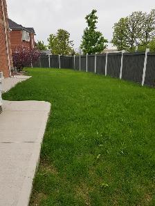 4 Bedrooms House for rent  - FOR FAMILY – NORTH BRAMPTON - Photo 10