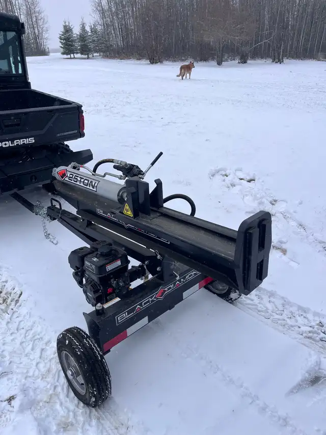Log Splitter - Photo 2