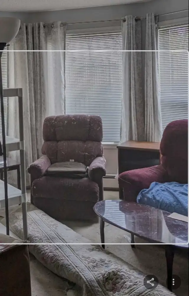 Loveseat Lazyboy Recliner Rocker & Loveseat Nonsmoker