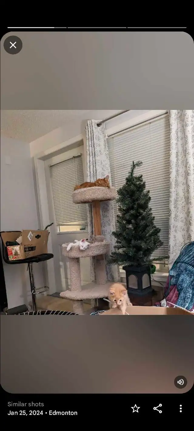 Loveseat Lazyboy Recliner Rocker & Loveseat Nonsmoker - Photo 2