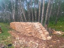 FIREWOOD FOR SALE!