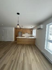 Appartement 4 et demi à louer