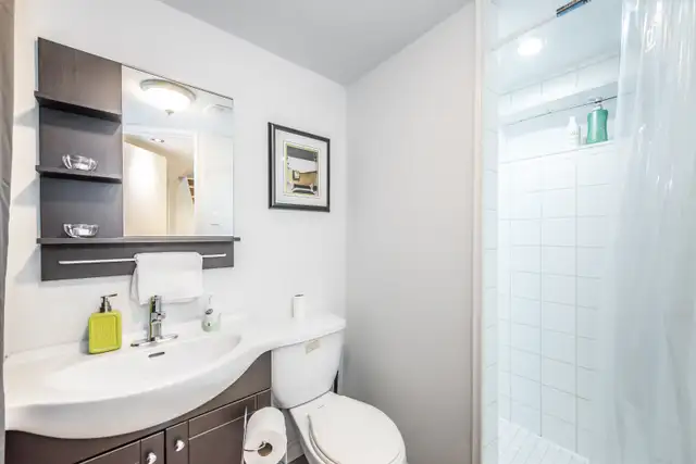 Walk-Out 2 Bedrooms Basement Apartment at Yonge/Major Mackenzie - Photo 7