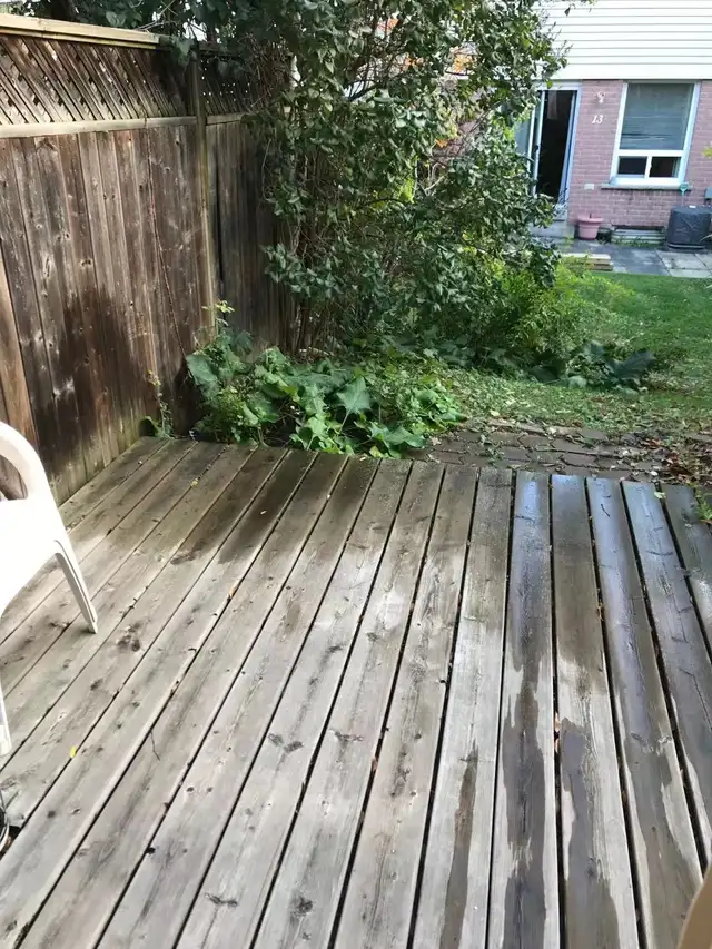 Private basement room near UTM for rent - Photo 6