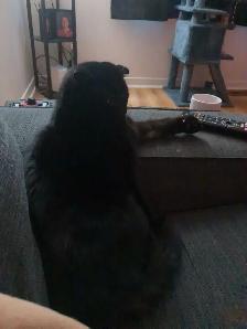 ° LF ° cash work of any sort I am looking for °