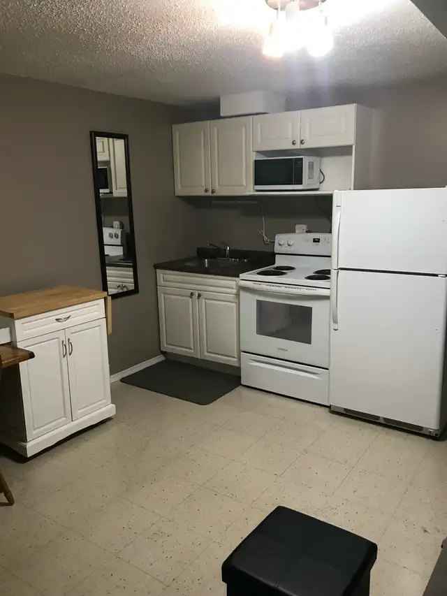 ONE BLOCK TO SASKPOLYTECH. 1 BEDROOM SUITE, 8 WEEK TENANCIES - Photo 5