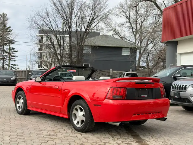 2000 Ford Mustang Convertible ONLY 99,000KMS! - Photo 3