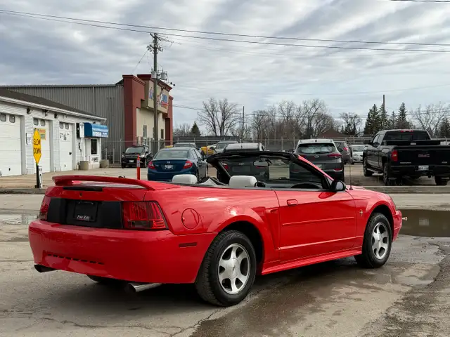 2000 Ford Mustang Convertible ONLY 99,000KMS! - Photo 5