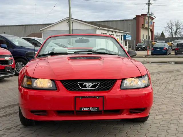 2000 Ford Mustang Convertible ONLY 99,000KMS! - Photo 8