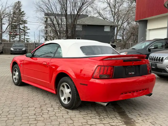 2000 Ford Mustang Convertible ONLY 99,000KMS! - Photo 11