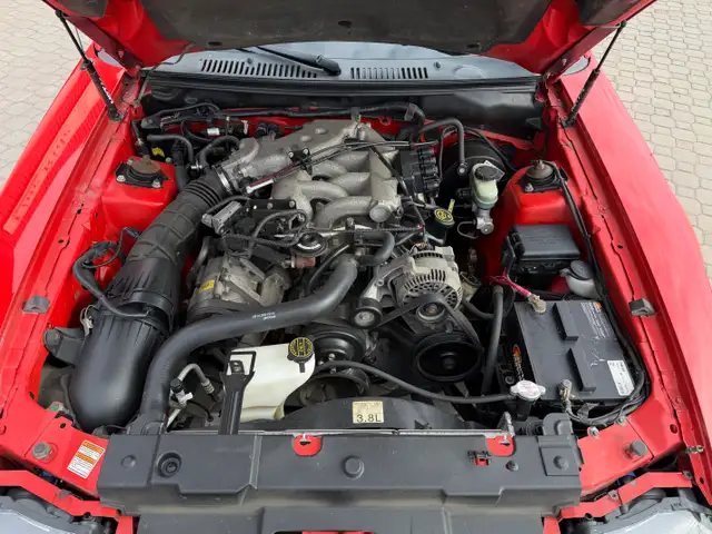 2000 Ford Mustang Convertible ONLY 99,000KMS! - Photo 12