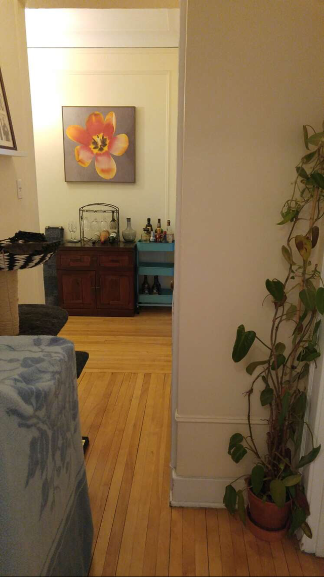 Large renovated  4 1/2 in the heart of Monkland Village for July - Photo 10