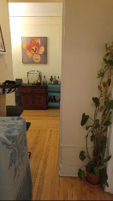 Large renovated  4 1/2 in the heart of Monkland Village for July - Photo 10