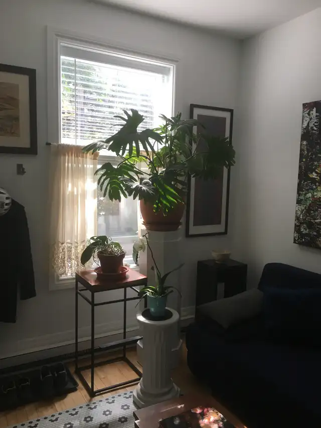 MÉTRO JEAN-TALON, BEAU 3 1/2 RÉNOVÉ-1115$ PAR MOIS - Photo 10