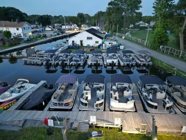 ☀️ Pontoon Boat Experience on Lake Simcoe – Starts May 1st! - Photo 3