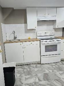 Spacious 1 Bedroom, 1 Bath, 1 Parking, Basement Apartment - Photo 4