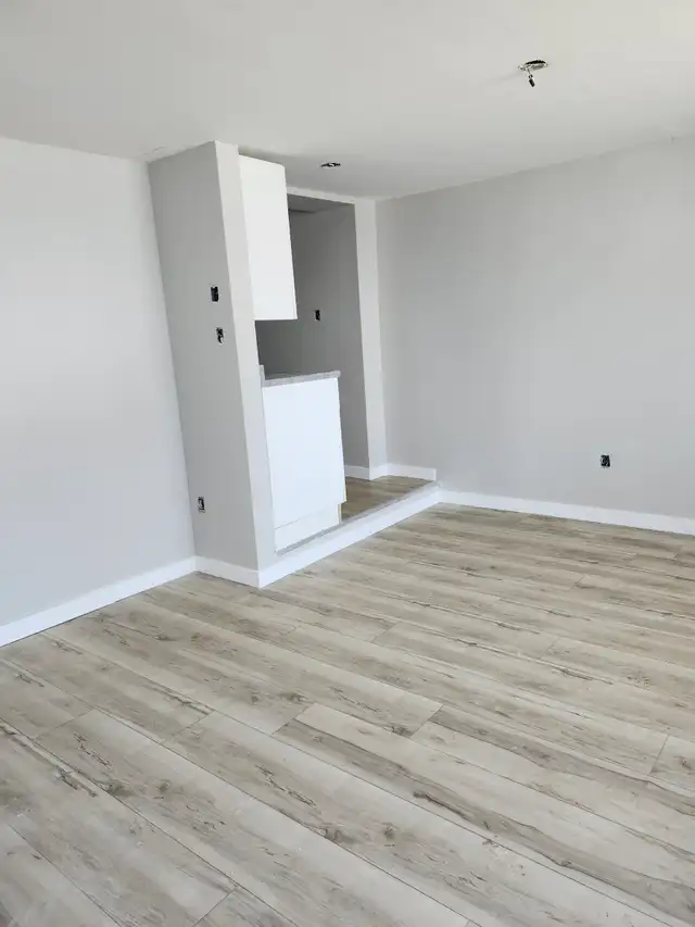 220A King St W - Newly Renovated Studio West, Util incl - Photo 2