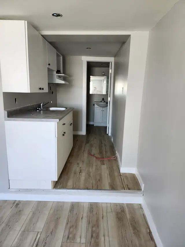 220A King St W - Newly Renovated Studio West, Util incl - Photo 3