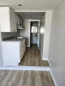 220A King St W - Newly Renovated Studio West, Util incl - Photo 3